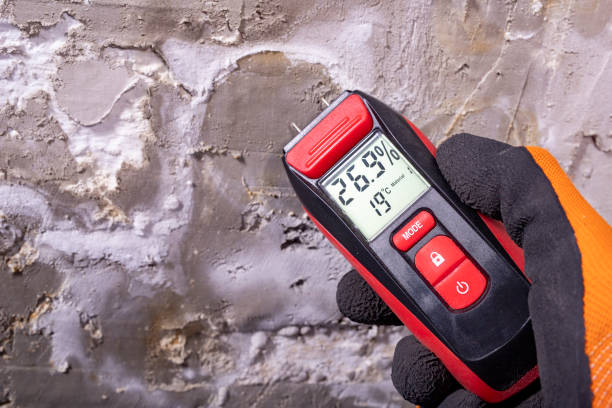 Best Insurance-Related Mold Remediation in Maplewood, MO
